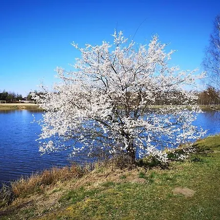 Sielanka Aleksandria Ferienhaus