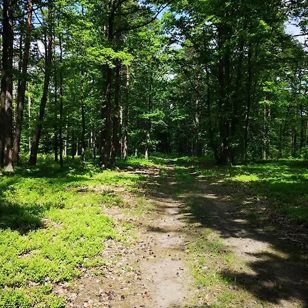 Sielanka Aleksandria Casa vacanze *