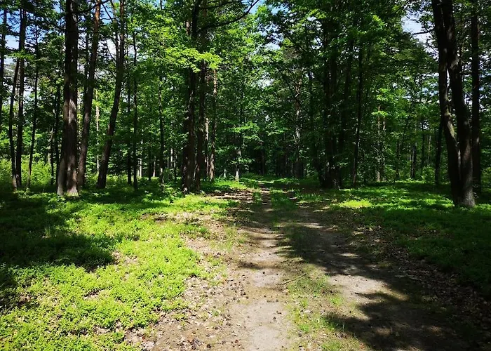 Sielanka Aleksandria Prázdninový dům *