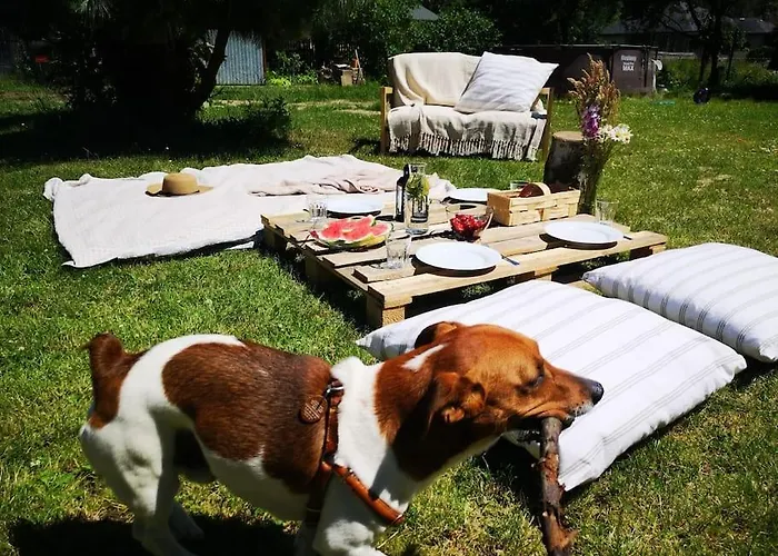 Sielanka Aleksandria Aleksandria (Silesia)