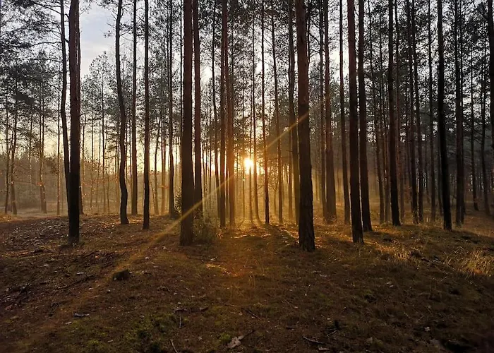 Sielanka Aleksandria Prázdninový dům *